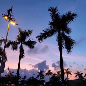 嫩草影院发布页
